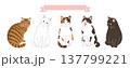 猫のヘッダーデザイン 137799221