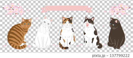 Header design featuring cherry blossoms and cats Header design featuring cherry blossoms and cats 137799222