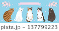 桜と猫のヘッダーデザイン 137799223