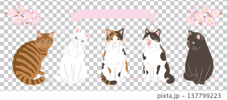 Header design featuring cherry blossoms and cats 137799223