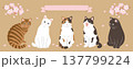 桜と猫のヘッダーデザイン 137799224