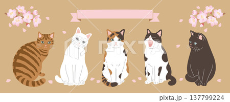 桜と猫のヘッダーデザイン 137799224