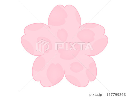 桜の花の背景 桜の花の背景 137799268