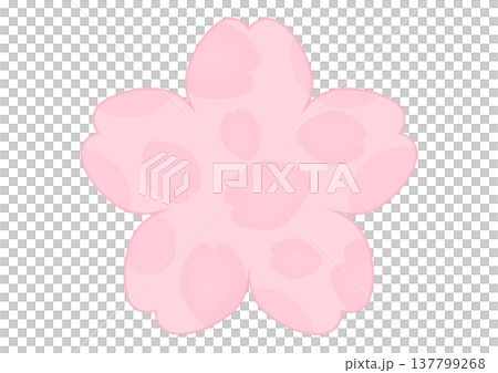 桜の花の背景 桜の花の背景 137799268