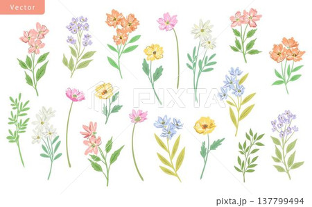 オシャレかわいい手書きの草花のベクターイラストセット 137799494