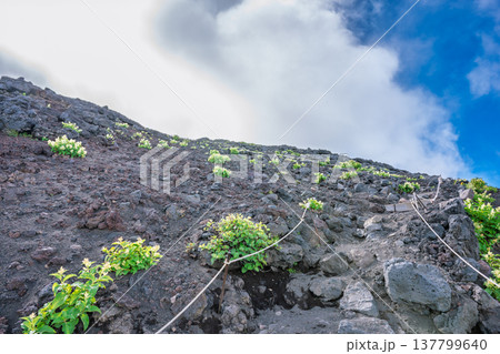 富士登山 須走ルートを登る 富士登山 須走ルートを登る 137799640