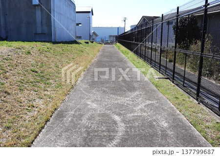 鶴ヶ峰浄水場の「水道道」 137799687