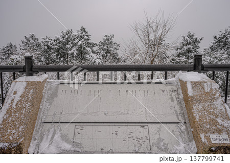 雪（高尾山山頂） 137799741