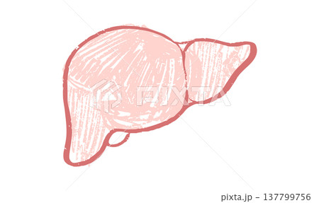 Liver logo sketch 137799756