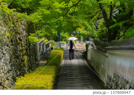 初夏の日差しが眩しい京都市西京区善峯寺の新緑を撮影 137800047