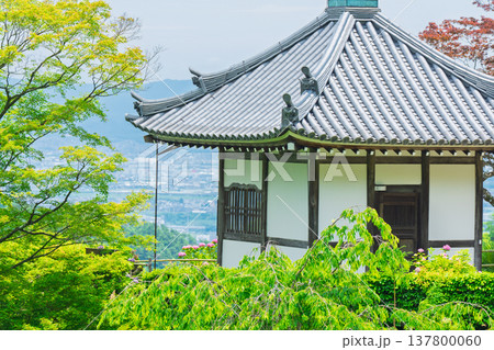 初夏の日差しが眩しい京都市西京区善峯寺の新緑を撮影 初夏の日差しが眩しい京都市西京区善峯寺の新緑を撮影 137800060