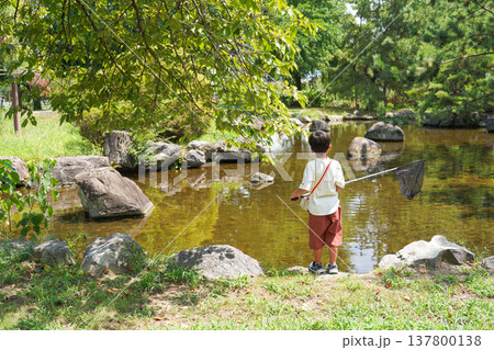 虫取り網を持って池の生き物を探す男の子の後ろ姿 137800138