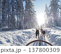 フィンランド・ロヴァニエミの犬ぞり体験と雪の森の冬風景 137800309