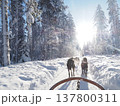 フィンランド・ロヴァニエミの犬ぞり体験と雪の森の冬風景 137800311