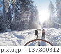 フィンランド・ロヴァニエミの犬ぞり体験と雪の森の冬風景 137800312