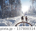 フィンランド・ロヴァニエミの犬ぞり体験と雪の森の冬風景 137800314