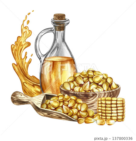 Corn oil. Hand-drawn watercolor illustration. Corn kernels in a wooden bowl, a bottle of oil, a piece of corn cob, and a splash of oil. For labels and packaging, and menus, banners, posters, and more. 137800336