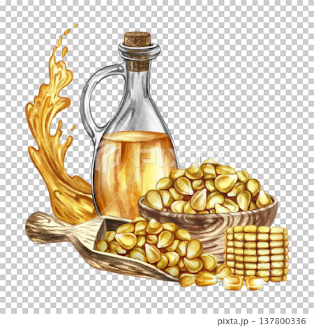 Corn oil. Hand-drawn watercolor illustration. Corn kernels in a wooden bowl, a bottle of oil, a piece of corn cob, and a splash of oil. For labels and packaging, and menus, banners, posters, and more. 137800336