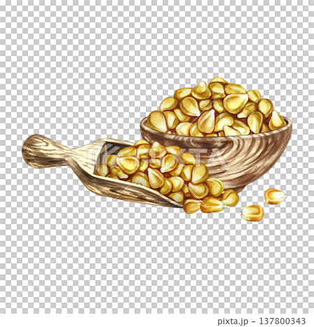 Corn kernels in a wooden bowl and a wooden scoop. Hand-drawn watercolor illustration. Perfect for labels and packaging, as well as menus, banners, posters, and more. Corn kernels in a wooden bowl and a wooden scoop. Hand-drawn watercolor illustration. Perfect for labels and packaging, as well as menus, banners, posters, and more. 137800343