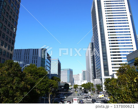 高層ビルを見上げるオフィス街の風景 高層ビルを見上げるオフィス街の風景 137800621