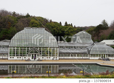 名古屋市東山動植物園温室全景 137800654