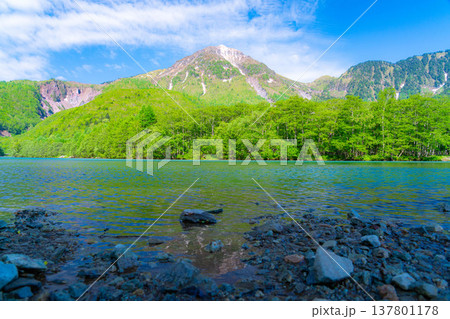 【絶景】初夏の上高地・新緑の大正池と焼岳【長野県】 【絶景】初夏の上高地・新緑の大正池と焼岳【長野県】 137801178
