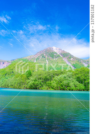 【絶景】初夏の上高地・新緑の大正池と焼岳【長野県】 【絶景】初夏の上高地・新緑の大正池と焼岳【長野県】 137801182