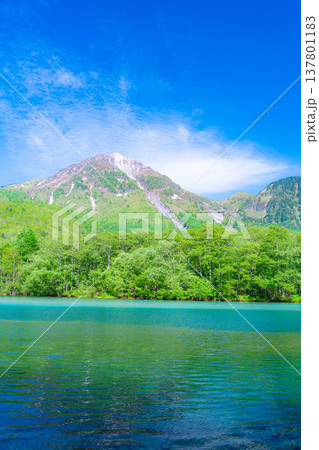 【絶景】初夏の上高地・新緑の大正池と焼岳【長野県】 【絶景】初夏の上高地・新緑の大正池と焼岳【長野県】 137801183