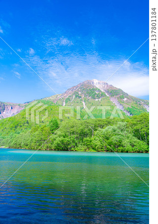 【絶景】初夏の上高地・新緑の大正池と焼岳【長野県】 137801184