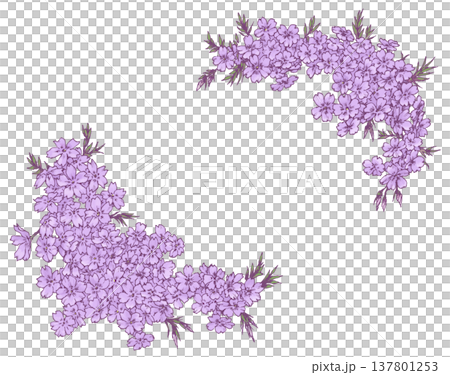 Moss phlox frame material Moss phlox frame material 137801253