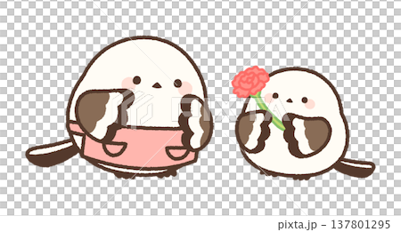 A long-tailed tit family (red) handing over a carnation. 137801295