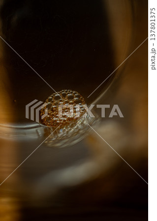 coffee coffee 137801375