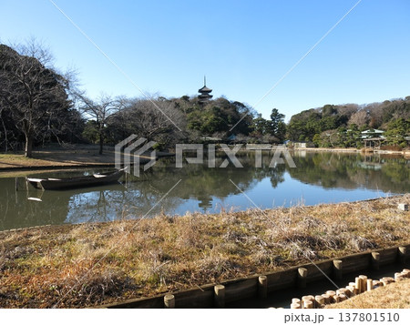 横浜市の三溪園（大池・旧燈明寺三重塔） 137801510