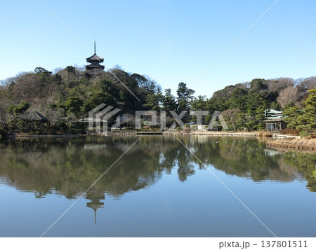 横浜市の三溪園（大池・旧燈明寺三重塔） 137801511