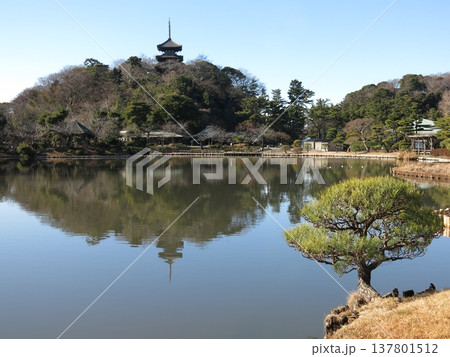 横浜市の三溪園（大池・旧燈明寺三重塔） 137801512
