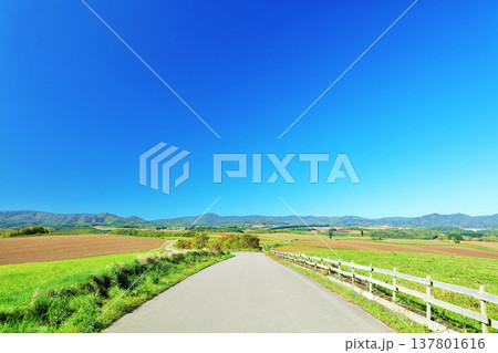 北海道 夏の青空と美瑛の風景 北海道 夏の青空と美瑛の風景 137801616