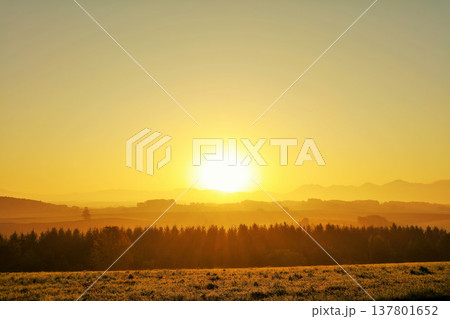 北海道　美瑛　秋の夜明け 137801652