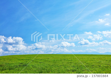 北海道 夏の青空と新緑の草原風景 北海道 夏の青空と新緑の草原風景 137801664