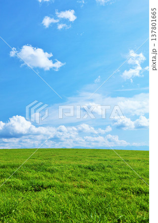 北海道　夏の青空と新緑の草原風景 137801665