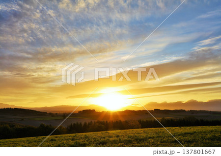 北海道　秋の夜明けと美瑛の風景 137801667