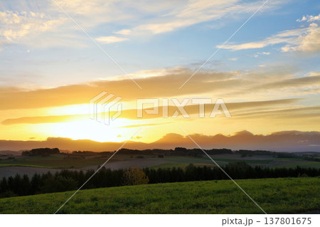 北海道　秋の夜明けと美瑛の風景 137801675