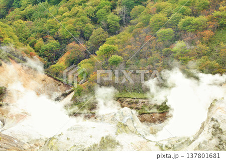 北海道 登別 地獄谷の風景 北海道 登別 地獄谷の風景 137801681