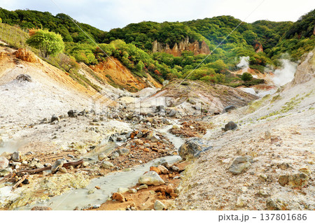 北海道　登別　地獄谷の風景 137801686