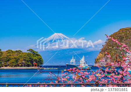 (静岡県)西伊豆・戸田漁港から見る富士山 (静岡県)西伊豆・戸田漁港から見る富士山 137801881