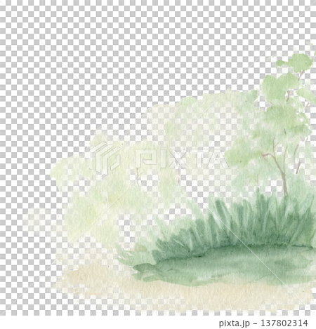 Soft watercolor forest landscape element isolated on white. Hand painted green trees, bushes and grass for natural landscape composition, garden illustration, background design, nature themed artwork. 137802314