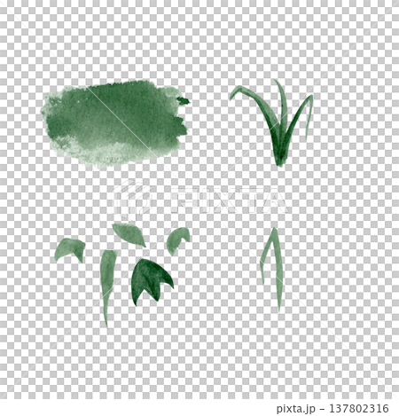 Watercolor grass, foliage elements isolated on white background. Hand painted plant shapes, brush texture for landscape illustration, garden design, pattern creation, natural decorative compositions Watercolor grass, foliage elements isolated on white background. Hand painted plant shapes, brush texture for landscape illustration, garden design, pattern creation, natural decorative compositions 137802316