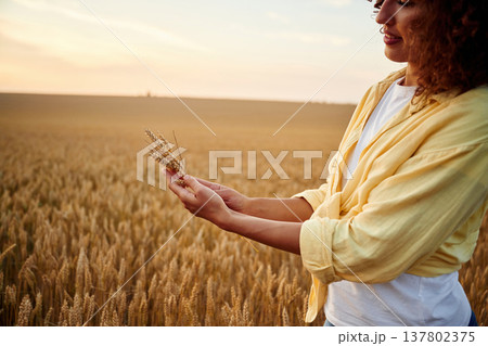View from the side, holding wheat. Beautiful woman is on the agricultural field View from the side, holding wheat. Beautiful woman is on the agricultural field 137802375