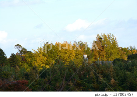 偕楽園もみじ谷の紅葉　2025-11-8　＃64 137802457