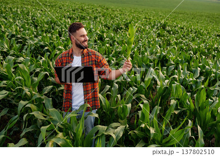 Big laptop and corn in hands. Man is on the agricultural field 137802510