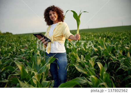 Growing process is going good, holding corn. Woman is on the agricultural field Growing process is going good, holding corn. Woman is on the agricultural field 137802562
